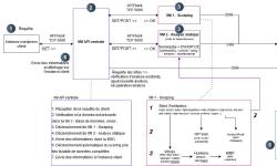 Featured image of post Evaluation automatisée des plugins WordPress basée sur l’OSINT